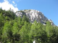 EBW2013_038.jpg