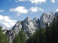 EBW2013_051.jpg